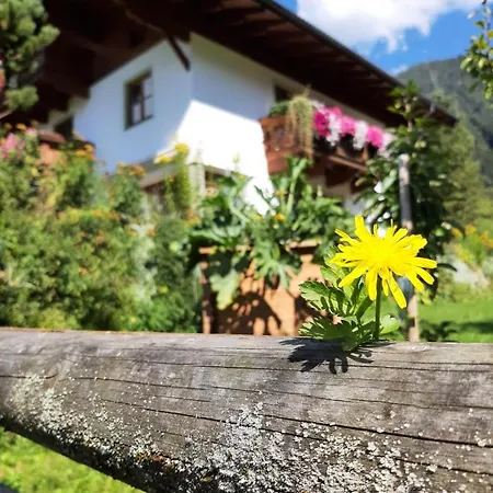 Apartman Vierthaler Werfenweng