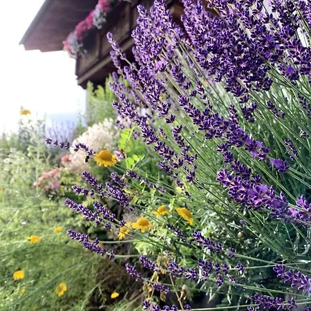 Vierthaler Werfenweng