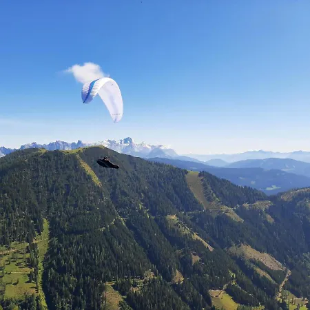 Apartamento Vierthaler Werfenweng