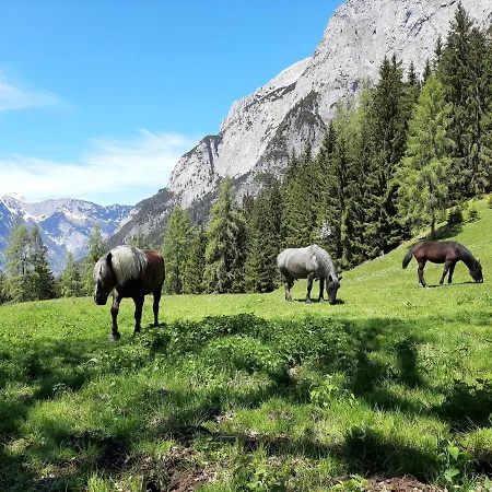 Vierthaler Lejlighed