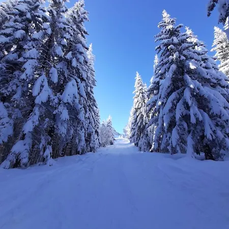 Apartamento Vierthaler Werfenweng