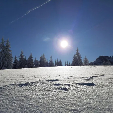 Vierthaler Lejlighed